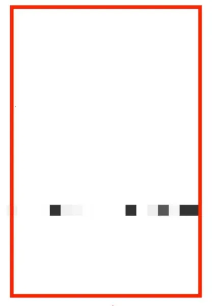每日英语听力(英语学习软件) 每日英语听力(英语学习软件)