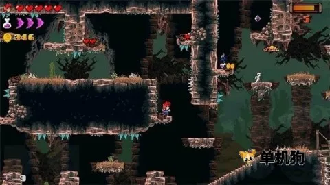 ����������2025���°汾