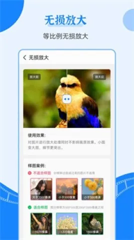 ��������Ƭ�޸��������ֻ���