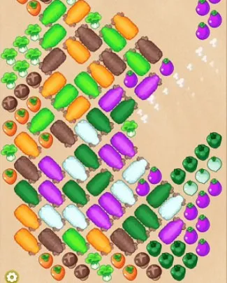 СС���(�߲�������Ϸ)