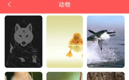 幻影壁纸2025官方最新版本 幻影壁纸2025官方最新版本