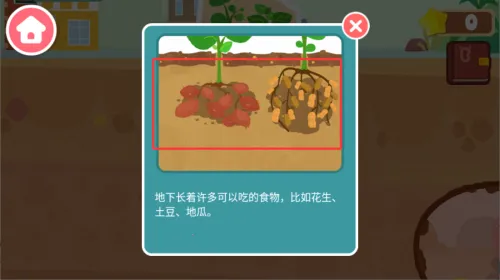 �����������2025���°汾