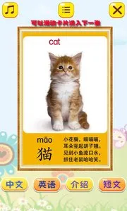 ��ͯ�϶��ﰲ׿���ֻ���