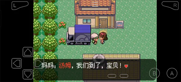 �ڴ����ִ�˵�̱�ʯ2026�ٷ�����