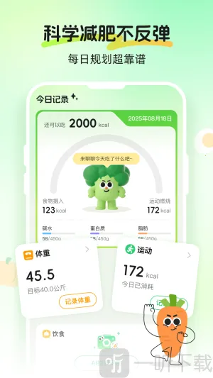 Calmomo�����ֻ���