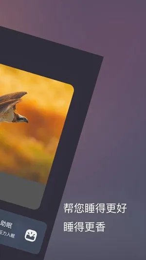 ����˯�������ֻ���