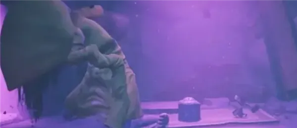 LittleNightmares22026最新版本 LittleNightmares22026最新版本