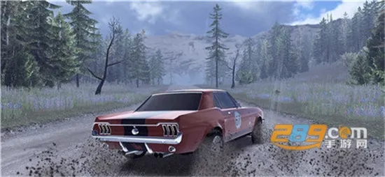 carx��������