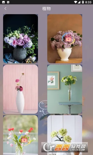 Ԫ���ɰ���ֽ2026���°汾