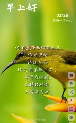 成友早安2026官方正版 成友早安2026官方正版
