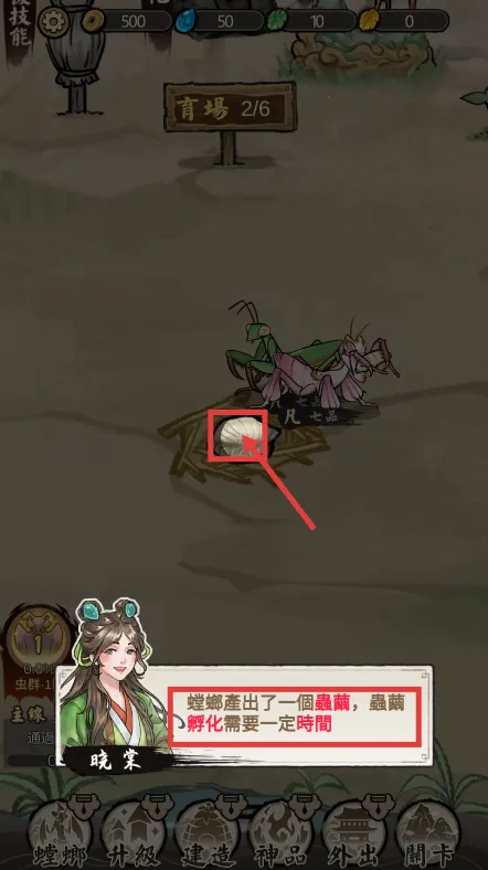 ��Ʒ���2026���°汾