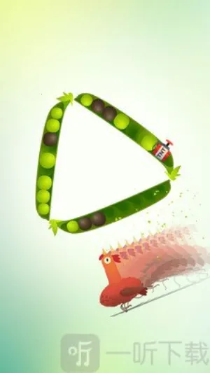 pigeon鸽子 pigeon鸽子