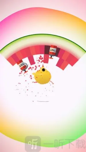 pigeon鸽子 pigeon鸽子