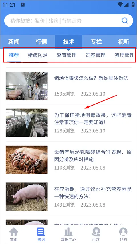 养猪宝 养猪宝