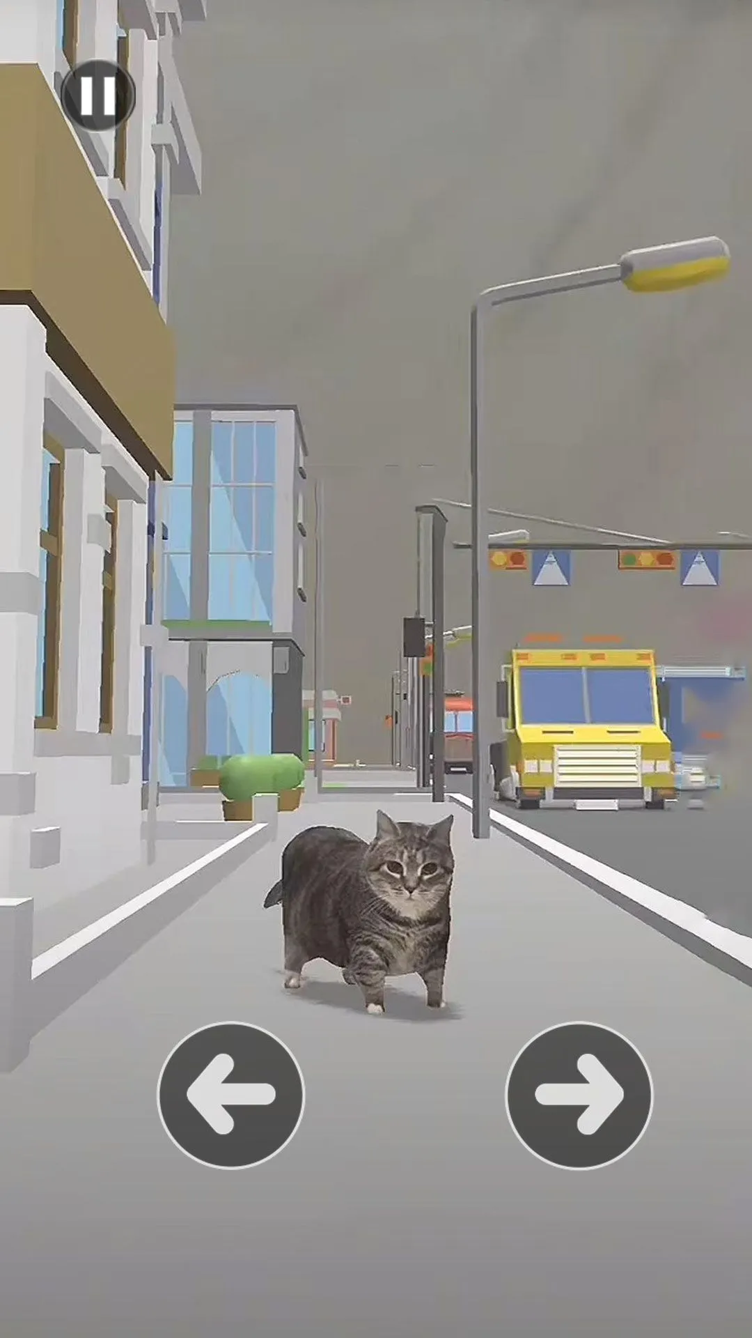 小猫过马路2026官方最新版本 小猫过马路2026官方最新版本