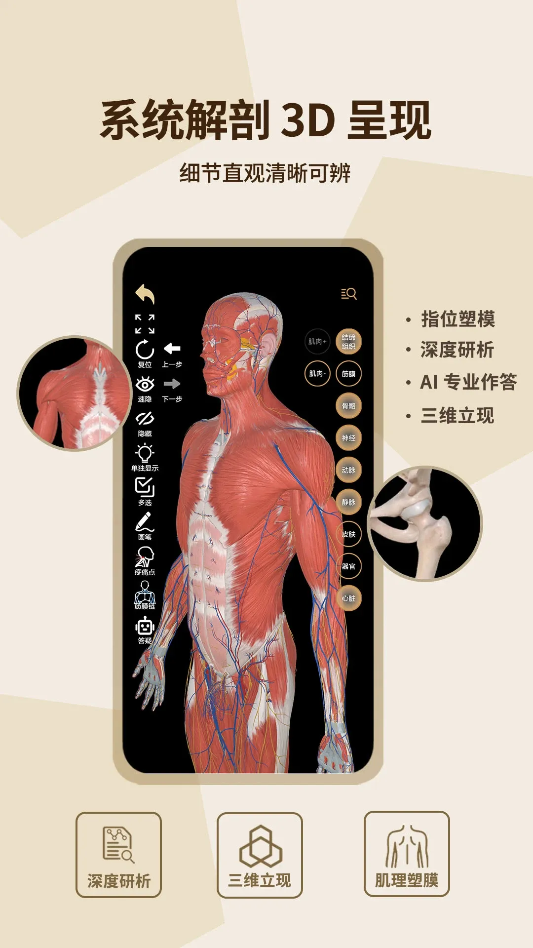 �ΰ�Ȼ2026�ٷ�����