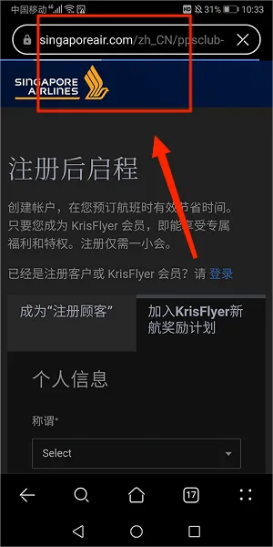 新加坡航空(航空服务应用) 新加坡航空(航空服务应用)