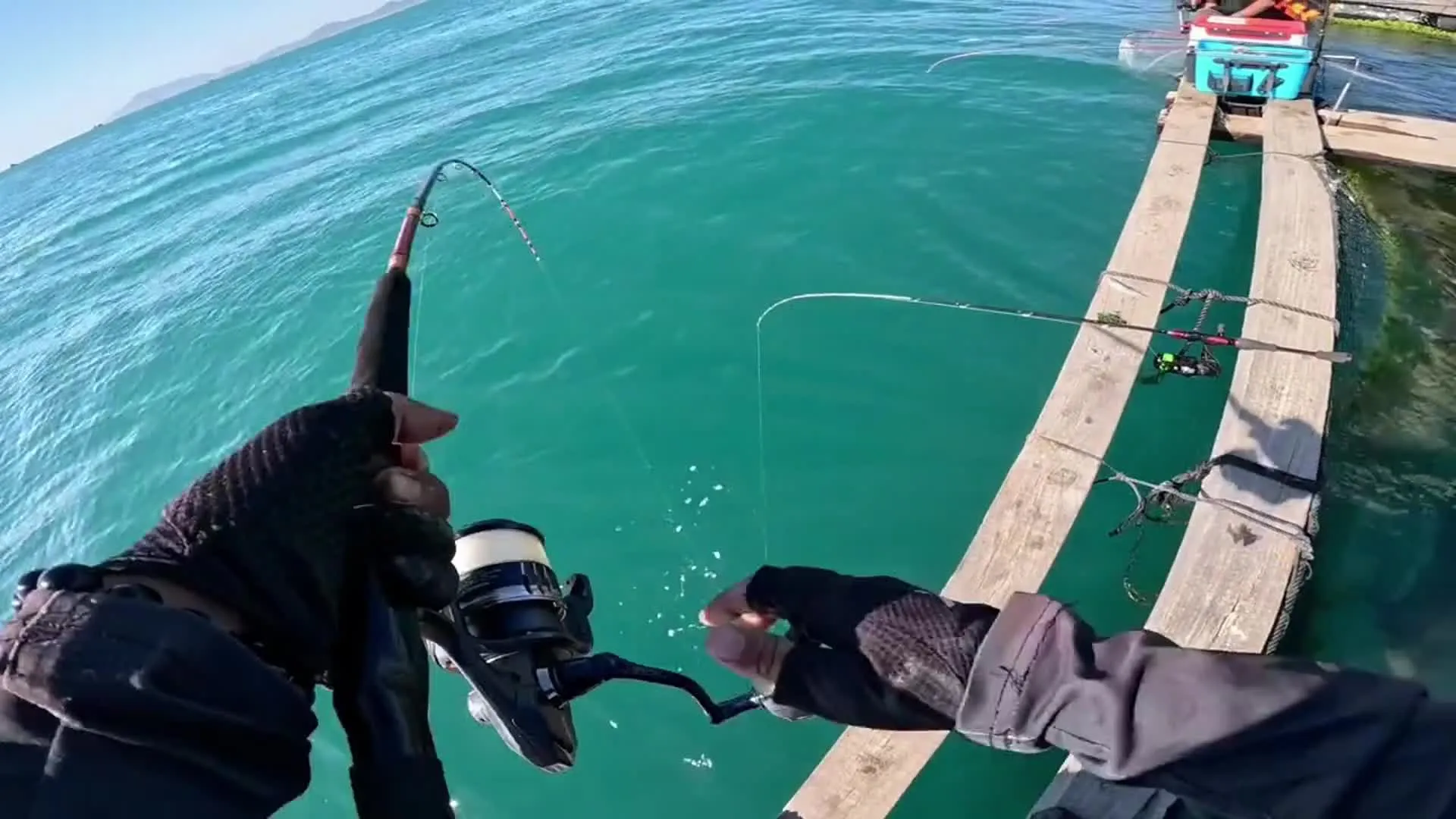 �����ʦ�����İ�����