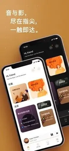HiFier(音乐播放工具) HiFier(音乐播放工具)