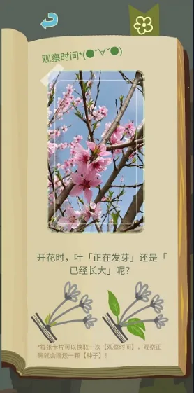 老农种树星座冬季