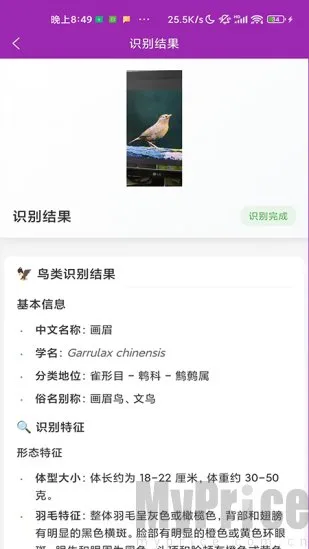 识鸟(鸟类识别工具) 识鸟(鸟类识别工具)