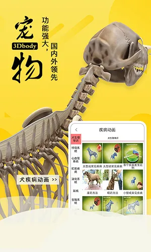 3dbody宠物破解版 3dbody宠物破解版