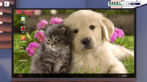 �����Գ���(����װ��ģ����)