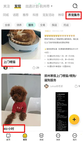������(�������ƽ̨)