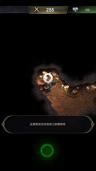 The Ants2026�ٷ�����