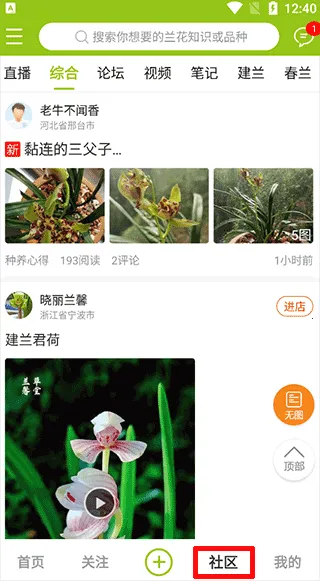 兰花交易网(兰花交易平台) 兰花交易网(兰花交易平台)