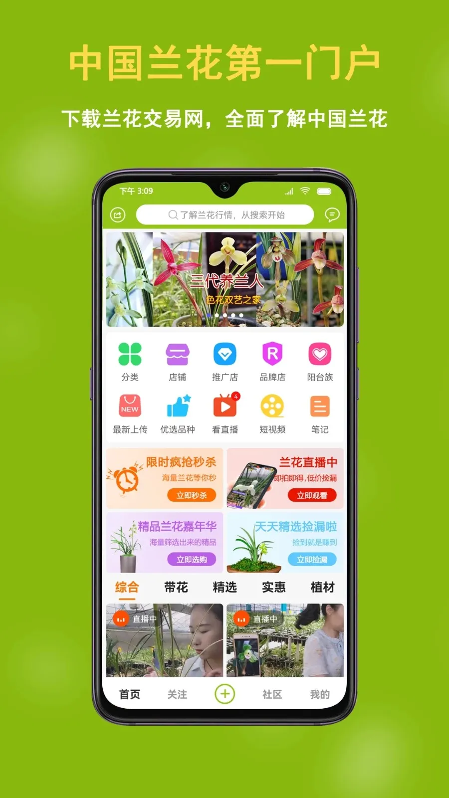 兰花交易网(兰花交易平台) 兰花交易网(兰花交易平台)