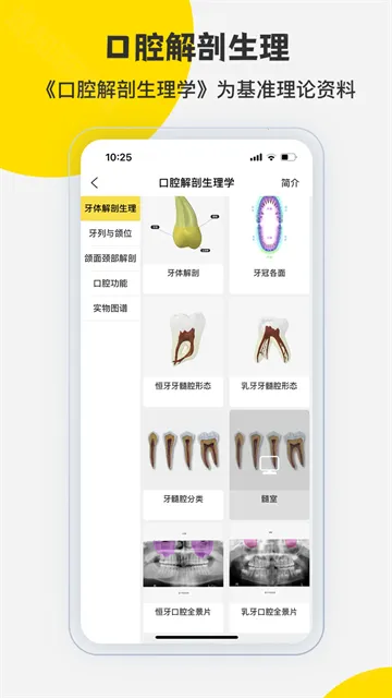 3Dbody解剖(医学解剖学习工具) 3Dbody解剖(医学解剖学习工具)