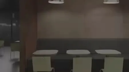 ��������ĸ�ҹ��(������ֲ���Ϸ)