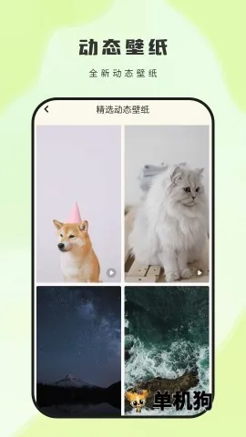 ��ͼ��ֽ(�ֻ���ֽ����)