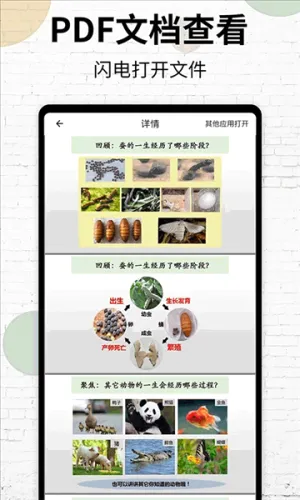 PDF�Ķ���2026�ٷ�����