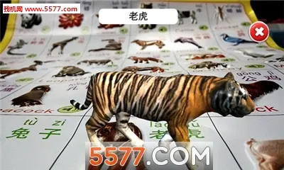 ʶ��ħ��2(���ʶ����Ϸ)