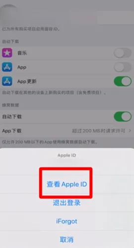 ƻ��Ӧ���̵�AppStore2026�ٷ�����