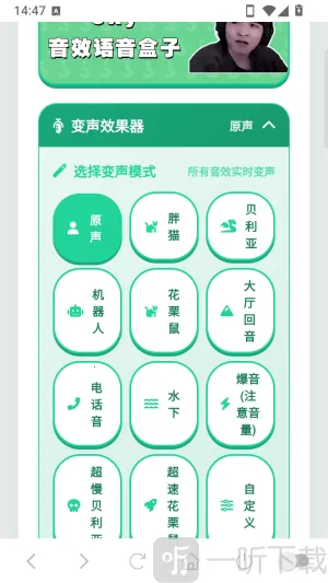 cxy语音盒(游戏语音工具)